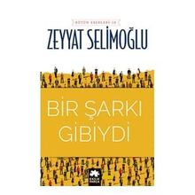 Bir Şarkı Gibiydi - Zeyyat Selimoğlu