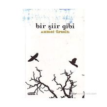 BIR ŞİİR GIBI - AHMET ÜRESİN