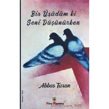 Bir Üşüdüm Ki Seni Düşünürken - Abbas Turan