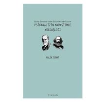 Birey Sorunsalından Solun Melankolisine Psikanalizin Marksizmle Yoldaşlığı - Haluk Sunat