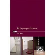 BİRLEŞMEYEN SENTEZ - ALI AKAY