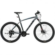 Bisan MTX 7300 29 Jant 24 Vites HD 19 Kadro Gri Yeşil Dağ Bisikleti