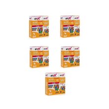 Bitex 5'li 100 ml Bit Spreyi+150 ml Bit Şampuanı+Tarak Seti