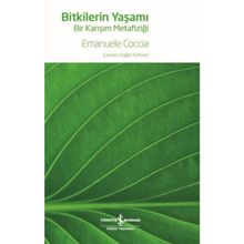 Bitkilerin Yaşamı - Bir Karışım Metafiziği
