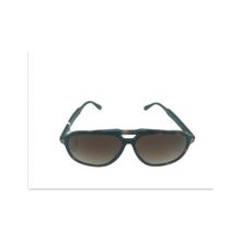 Black MOD.8366 C.02 Kahverengi Kırçıllı Erkek Güneş Gözlüğü