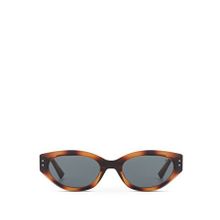 Blancia Milano BC1295 C3 Cat Eye Havana Kadın Güneş Gözlüğü