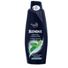 Blendax 6x500 ml Mentol Ferahlığı Erkek Şampuan