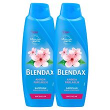 Blendax Anında Parlaklik ve Yumuşaklık Kiraz Çiçeği Özlü 2x500 ML Şampuan