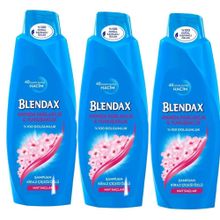 Blendax Aninda Parlaklık Ve Yumuşaklık Kiraz Çiçeği Özlü 3x500 ml Şampuan