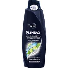 Blendax Erkekler İçin Kepeğe Karşı Etkili 550 ml Şampuan