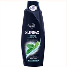 Blendax Erkekler İçin Mentollü 500 ml Şampuan