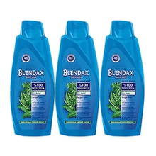 Blendax Isırgan Özlü 3 Adet 550 ml Şampuan
