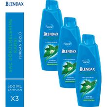 Blendax Isırgan Özlü 3x500 ml Saç Dökülmelerine Karşı Şampuan
