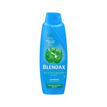 Blendax Isırgan Özlü 470 ml Şampuan