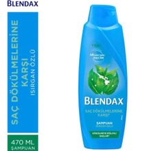 Blendax Isırgan Özlü Saç Dökülmelerine Karşı 10x470 ml Şampuan