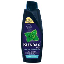 Blendax Nane Özlü 500 ml Erkek Şampuanı