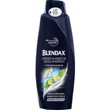 Blendax Tüm Saçlar İçin 500 ml Kepek Önleyici 2'si 1 Arada Şampuan