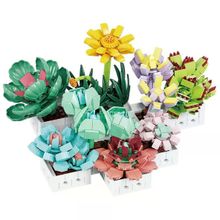 BLX 8842 Sukulent Çiçek Buketi