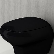 Bocchi A0327005 Fenice Parlak Siyah Klozet Kapağı