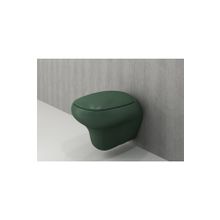 Bocchi Fenice Mat Mint Yeşil Asma Klozet ve Kapağı
