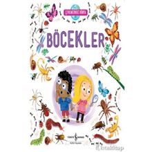 Böcekler - Çevremizdeki Dünya - Kolektif
