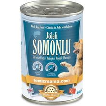 BonaCibo 400 gr Jöleli Somonlu Yaş Yetişkin Köpek Maması