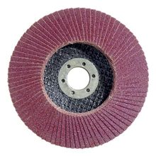 Bosch 2608603653 115 mm 60 K X431 10'lu Metal Kesici Flap Disk