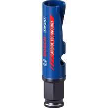 Bosch Expert Construction Material Delik Açma 20 x 60 mm Testere