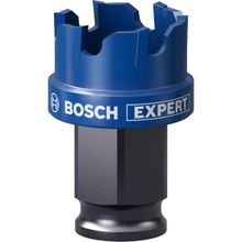 Bosch Expert Sheet Metal Delik Açma 25 x 5 mm Testere