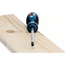 Bosch Profesyonel TX40x125 mm Torx Tornavida