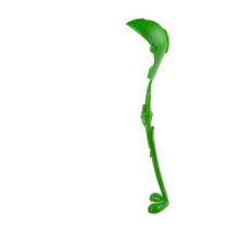 Bosphorus Ladle Kepçesi