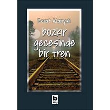 Bozkır Gecesinde Bir Tren - Berat Alanyalı