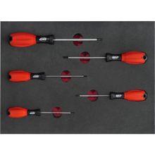 Brio TORX T10 Tornavida