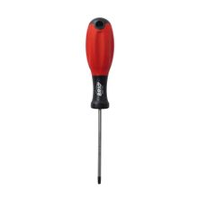 Brio TORX T15 Tornavida