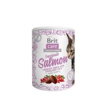 Brit Care 100 gr Kızılcık ve Kuşburnu Mama