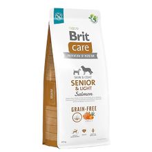 Brit Care 12 kg Tahılsız Somonlu Yaşlı Köpek Maması