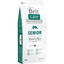 Brit Care Adult All Breed Salmon Patato 12 kg Köpek Maması