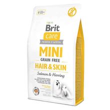 Brit Care Mini Hair Skin Somonlu Ve Ringa Balıklı Tahılsız Köpek Maması