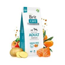 Brit Care Skin & Coat Somonlu Tahılsız 12 kg Yetişkin Köpek Maması