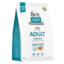 Brit Care Skin&Coat Tahılsız Somonlu 3 kg Yetişkin Köpek Maması