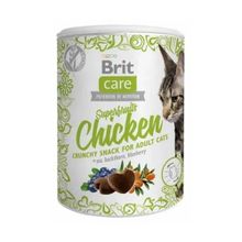 Brit Care Superfruits Glütensiz Tavuklu ve Yaban Mersinli Kıtır 100 gr Kedi Ödül Maması