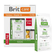 Brit Care Tahılsız Somonlu Büyük Irk 12 kg Yetişkin Köpek Maması