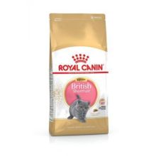 British 2 kg Shorthair Kitten Kedi Kuru Maması