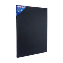 Brons BR-370 Siyah 50x70 Tuval