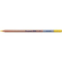 Bruynzeel Design Aquarel 19 Naples Yellow Kuru ve Sulu Boya Kalemi