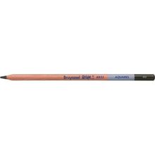 Bruynzeel Design Aquarel 40 Umber Kuru ve Sulu Boya Kalemi