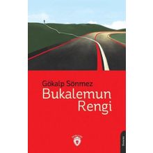 Bukalemun Rengi Dorlion Yayınevi