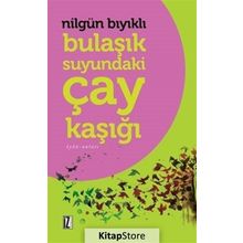 Bulaşık Suyundaki Çay Kaşığı - Nilgün Bıyıklı