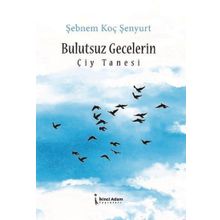 Bulutsuz Gecelerin Çiy Tanesi - Şebnem Koç Şenyurt