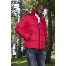 Buratti 649004 Dik Yaka Fermuarlı Slim Fit Açık Gri Erkek Şişme Mont